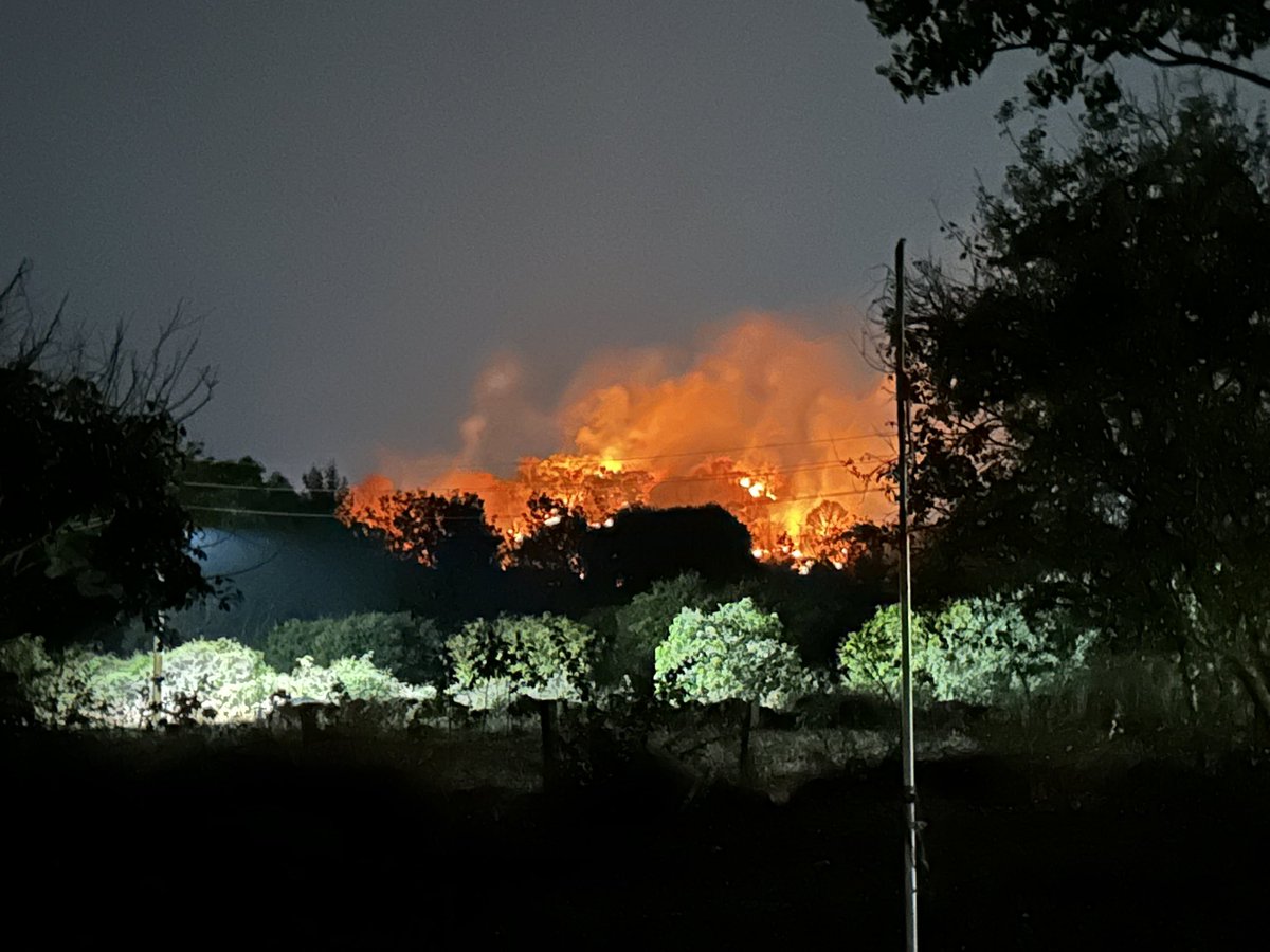 Shabnam Hashmi tweet media