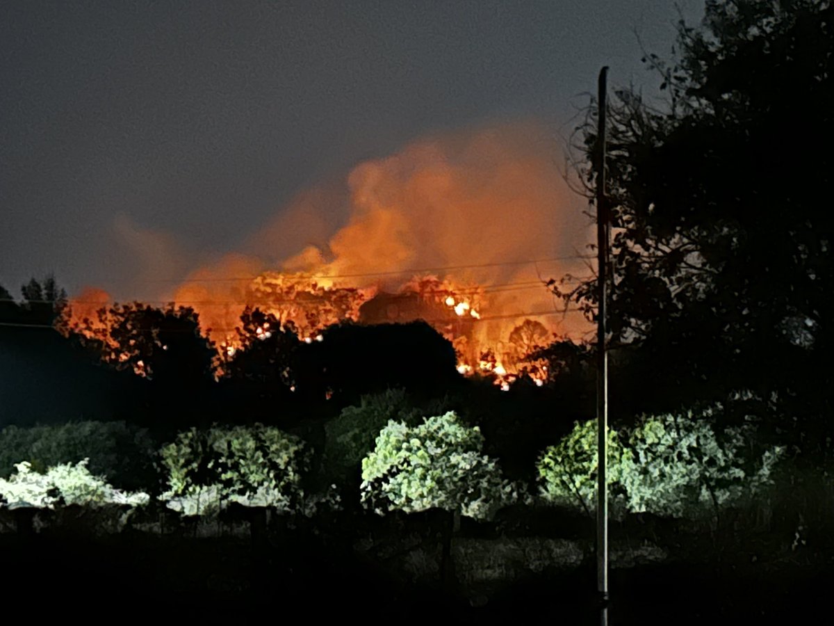 Shabnam Hashmi tweet media