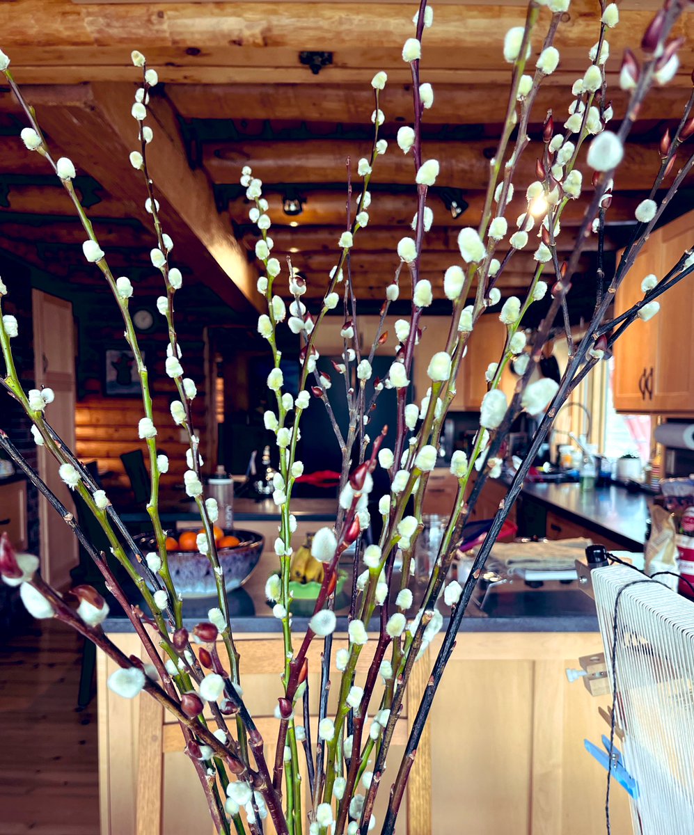 Sue Petersen | Clinical Nutritionist tweet media