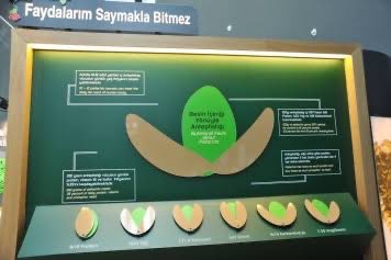 إبداع المحتوى والمتاحف | C2M tweet media