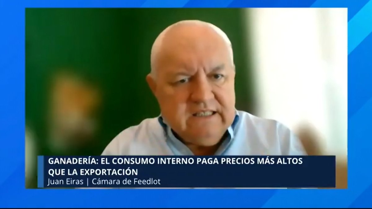 Feedlot Argentina tweet media