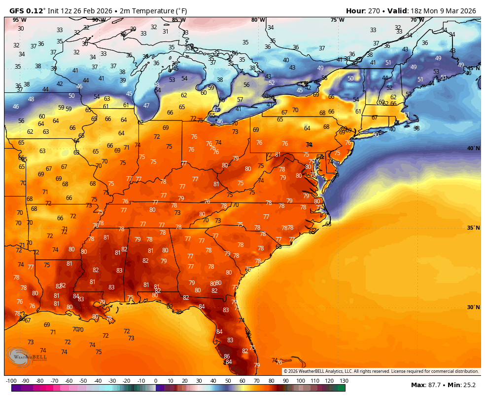 Bryce Shelton tweet media