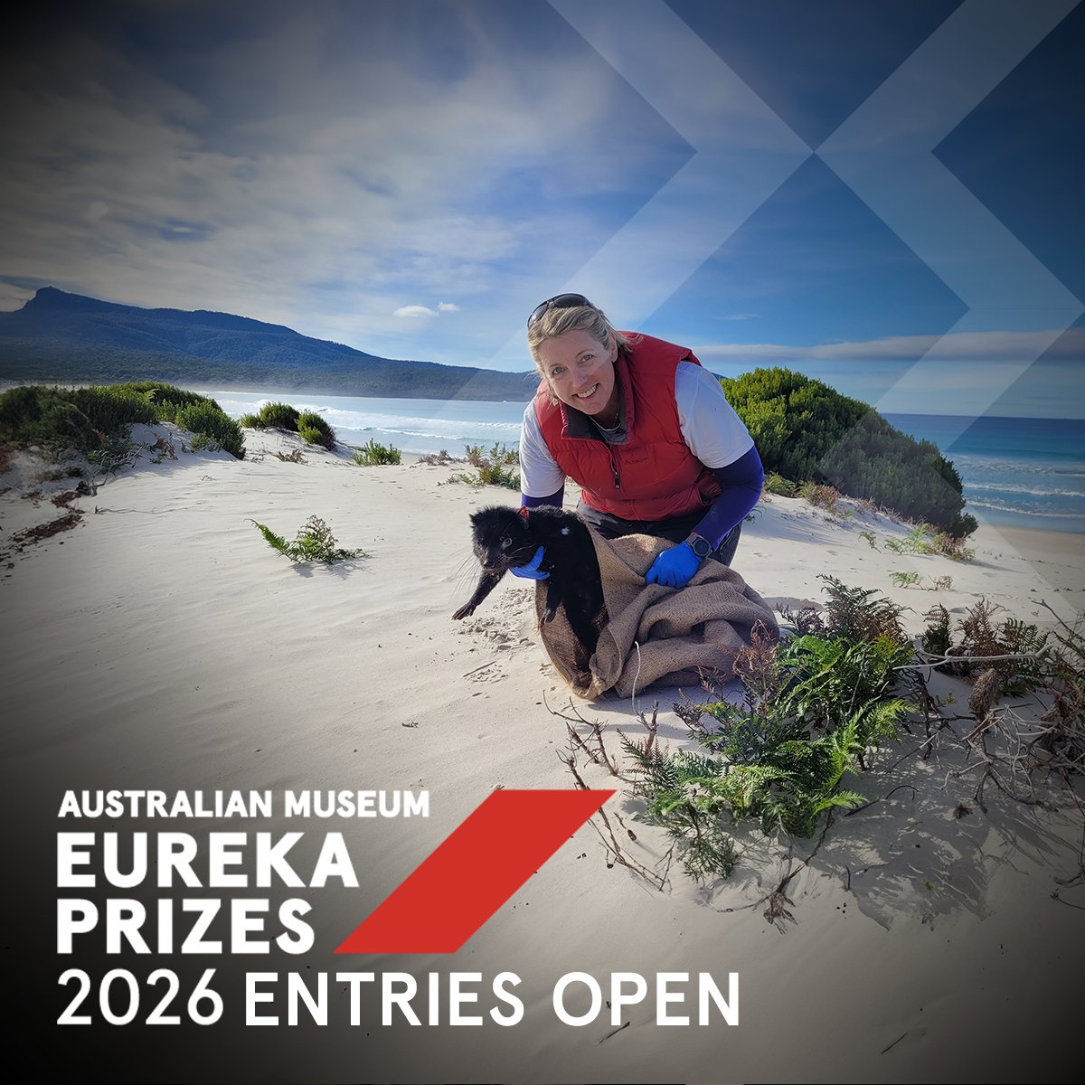 Australian Museum tweet media