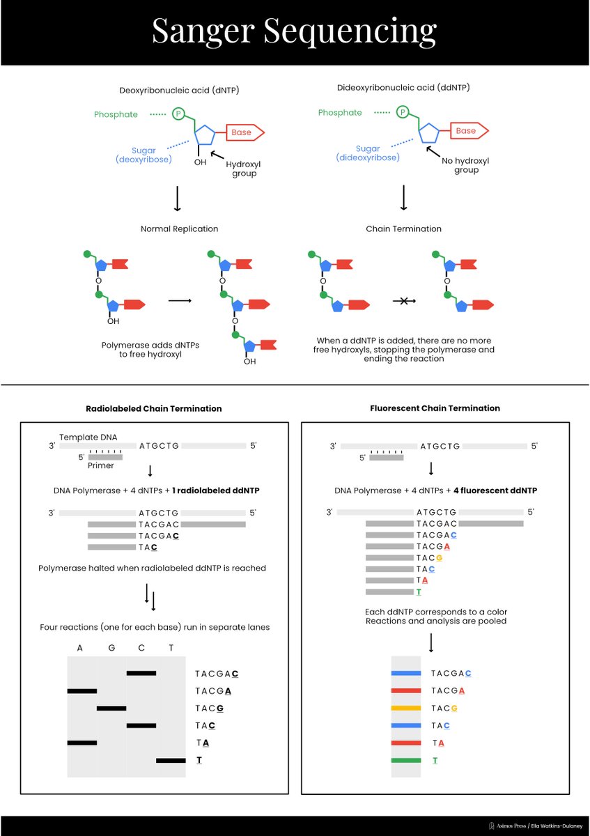 Asimov Press tweet media