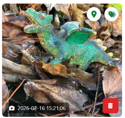 LitterApp.NET tweet media