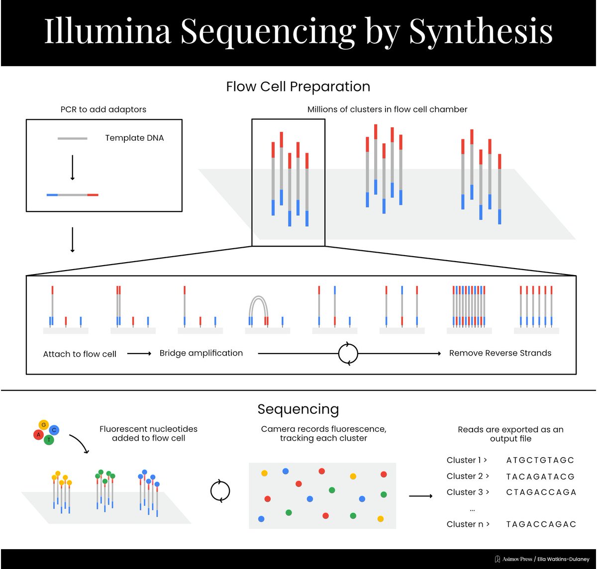 Asimov Press tweet media