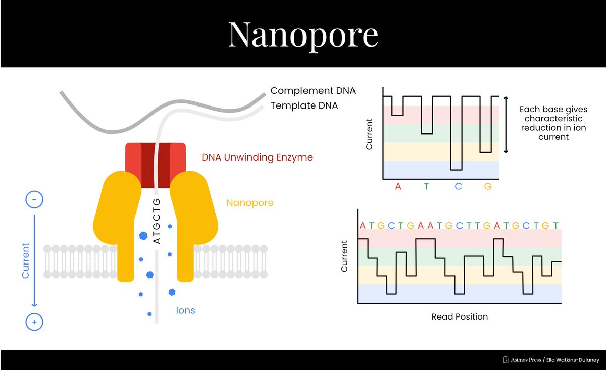 Asimov Press tweet media