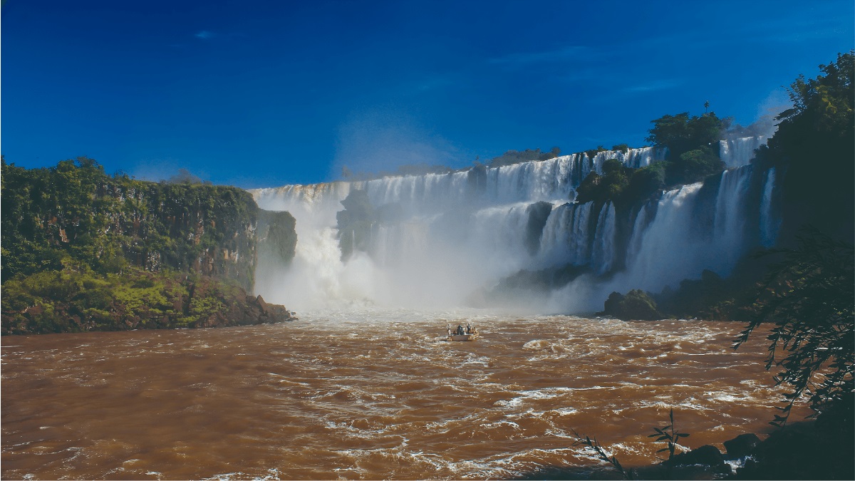 Argentina Forestal tweet media