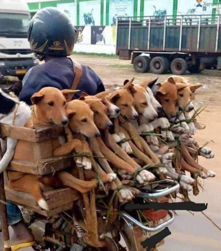 Mamae nipo  active ukinifollow nakufollow chapu <a href="/bonmeshack62954/">Maduro _Nicolas</a> <a href="/bonmeshack62954/">Maduro _Nicolas</a>