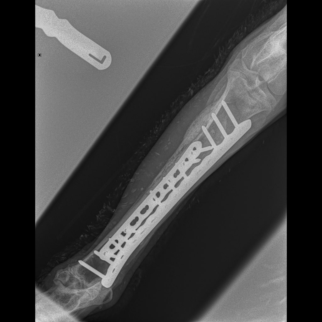 Cliffefarmvets tweet picture