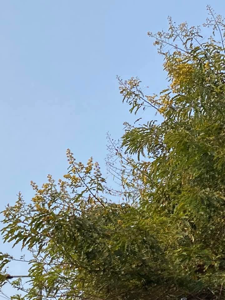 lightseekerusha's tweet image. “I am my own muse, I am the subject I know best. The subject I want to know better.”
#FridaKahlo
Self-discovery is the most honest art.
Layer by layer,we learn our own colors—
our strength,our wounds,our becoming.
To understand oneself is not vanity;it is courage.
#SelfReflection