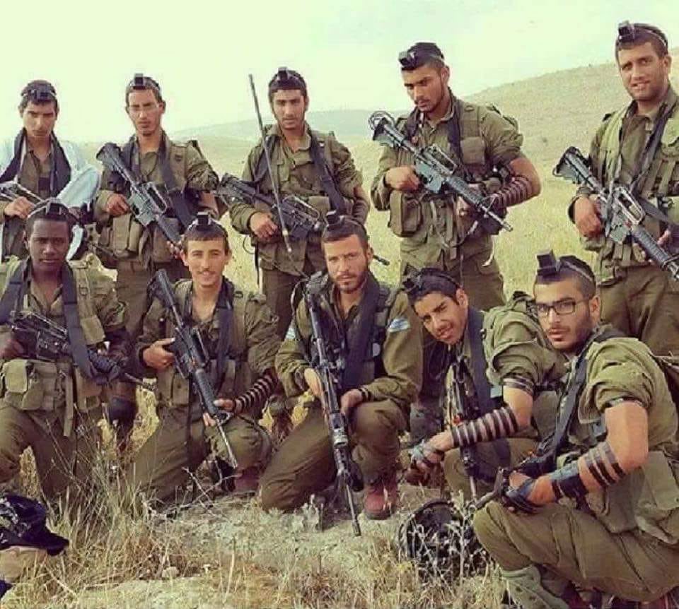 Lion of Zion tweet media