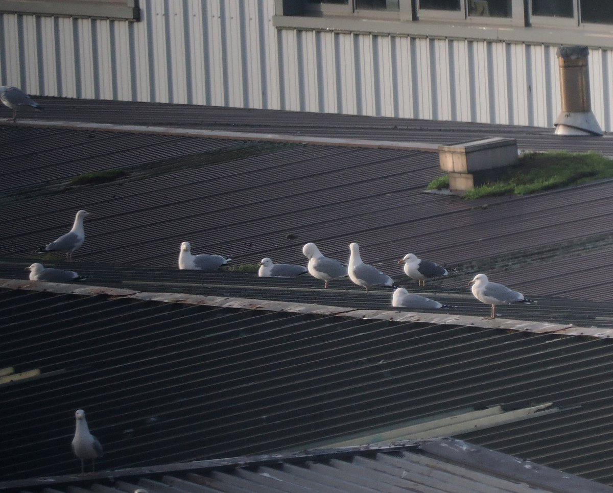 Andrew Whitehouse tweet media