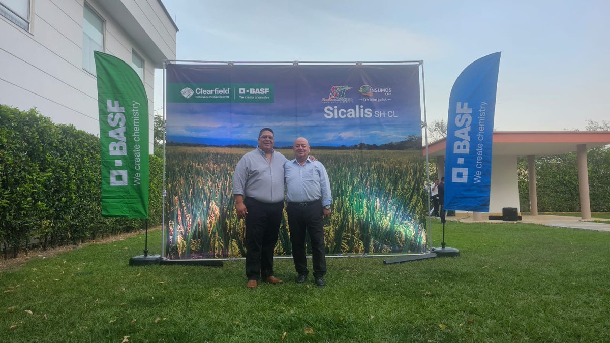 Acosemillas tweet media