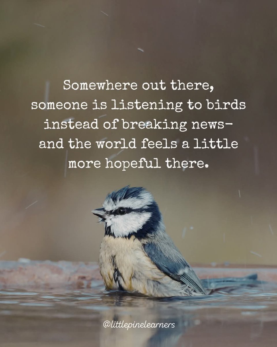 Iris Donell (@irisdonell) on Twitter photo 