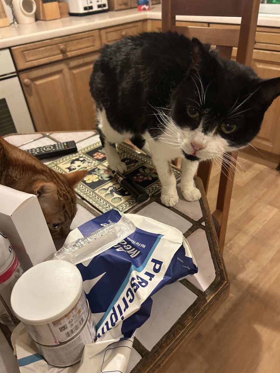 D.V. Catt tweet media