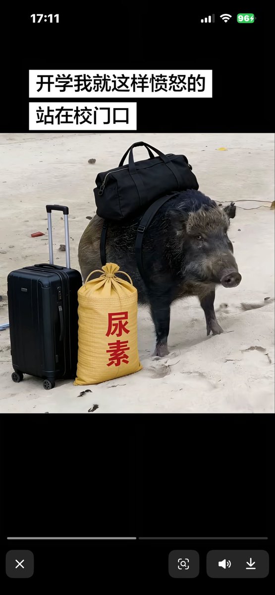 0_o wbin tweet media