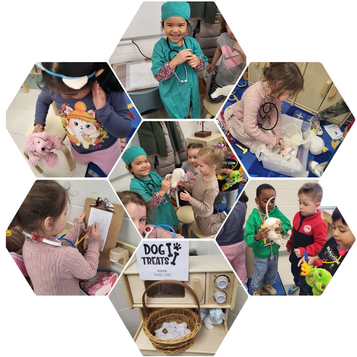 And our Veterinary Clinic is a success.  All our sick pets are happy &amp; healthy again! <a href="/ChapelHillOCSB/">Chapel Hill Catholic School</a> <a href="/OttCatholicSB/">Ottawa Catholic School Board</a>