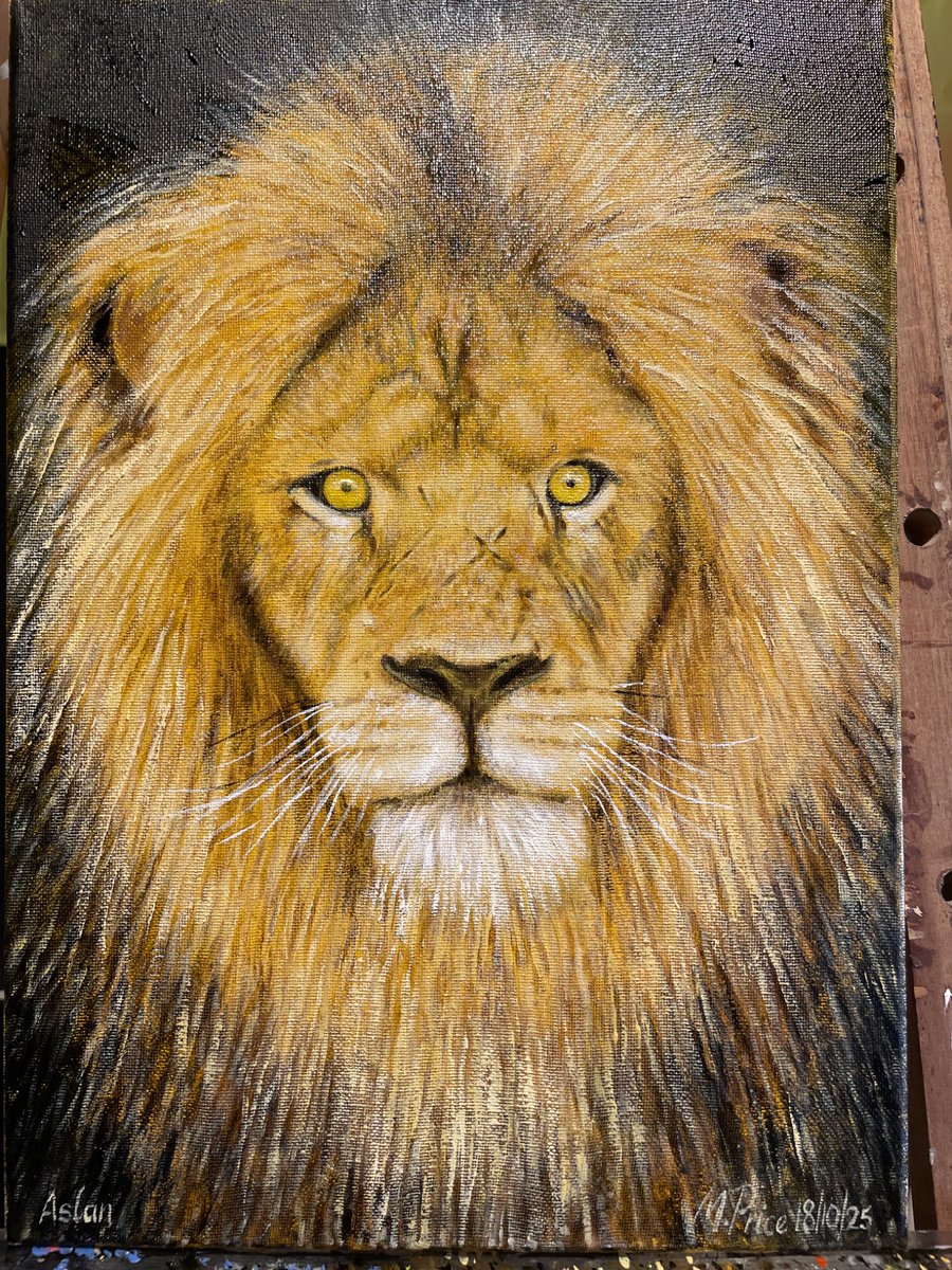 Feisty Robin Rembrandt fella tweet media