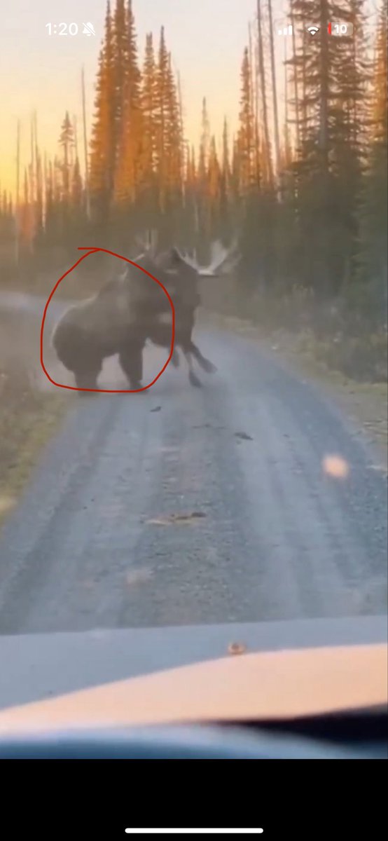 ChuneSelekta tweet media