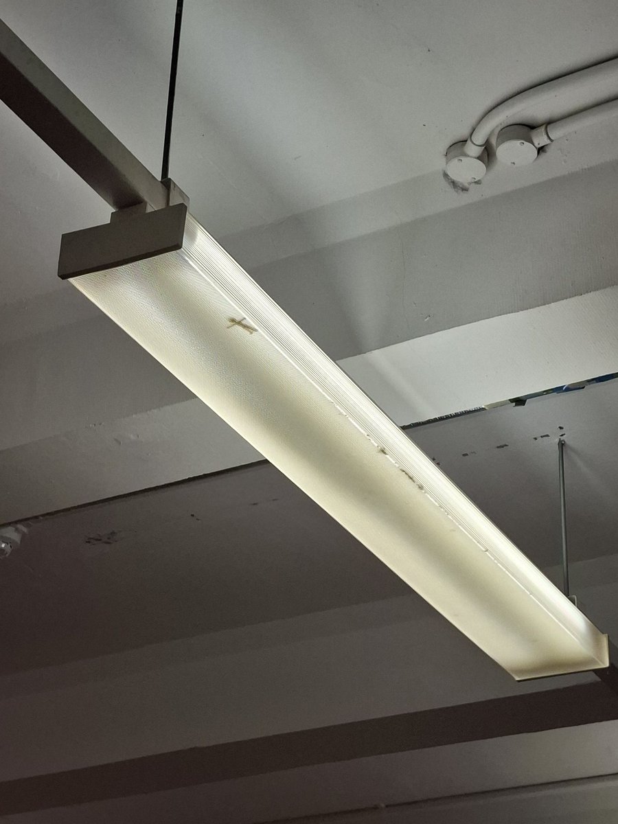 QuagStar tweet media