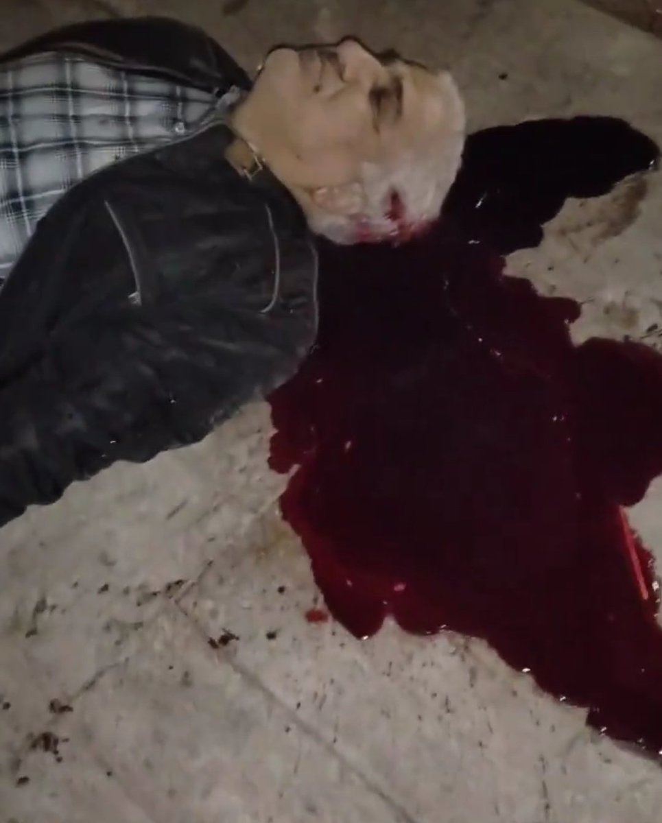 🦩فلامینگو tweet media