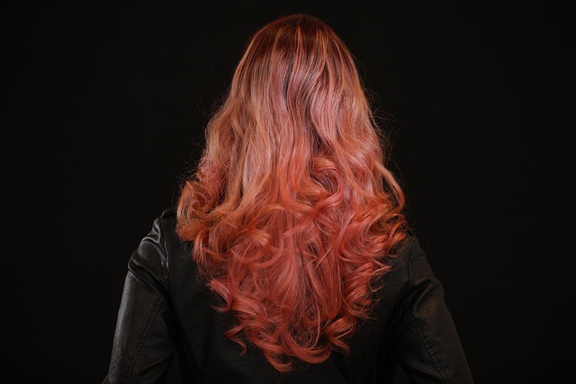 David Fuhrer tweet media