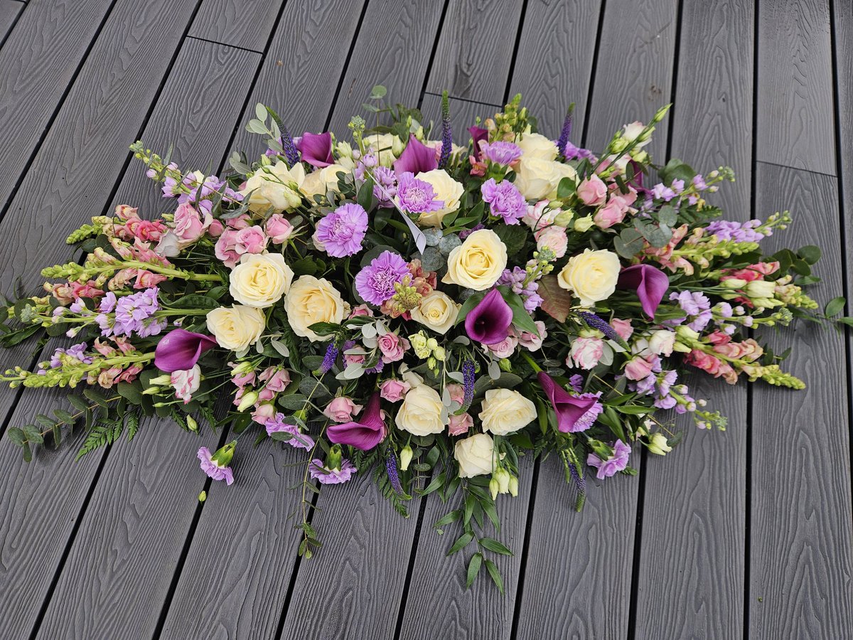 Donna Beaver 💙 tweet media