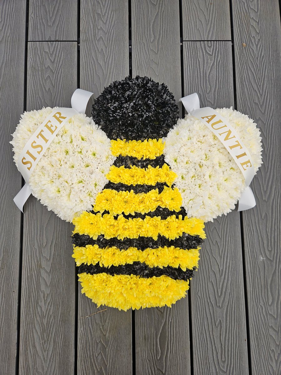 Donna Beaver 💙 tweet media