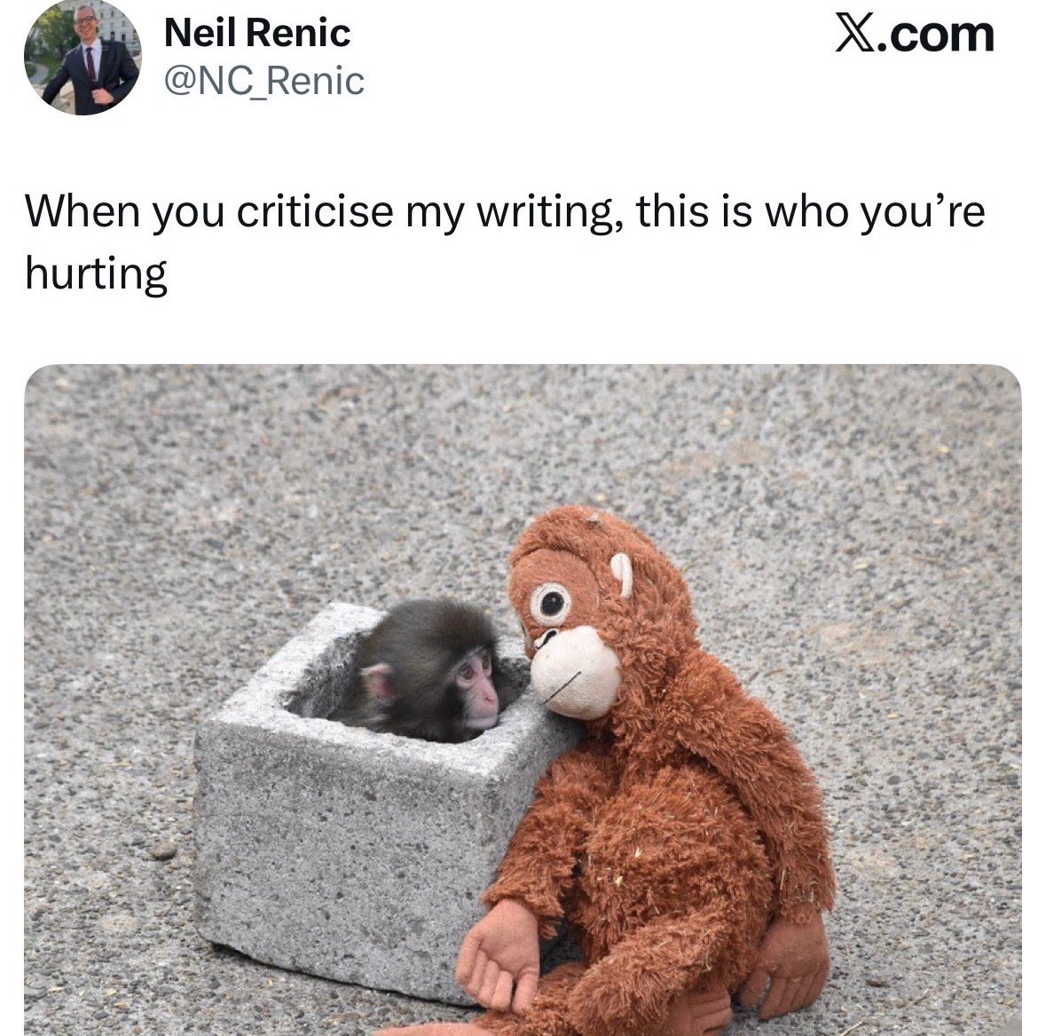 Joshua Rogers tweet media