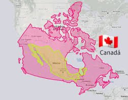 Si usáramos su irracional forma de pensar, basándonos en territorio, por qué México no es un país seguro y Canadá que es un país mucho más grande si lo es ??? 🤔🤔🤔🤔