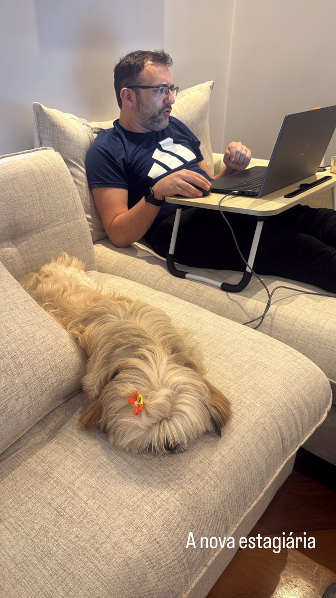 Minha estagiária de home office enquanto me recupero da torção no pé.