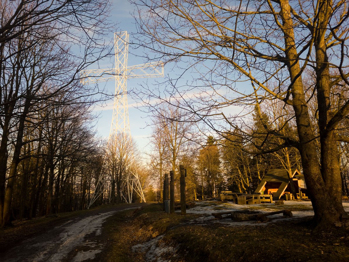 Jacek na Kole tweet media