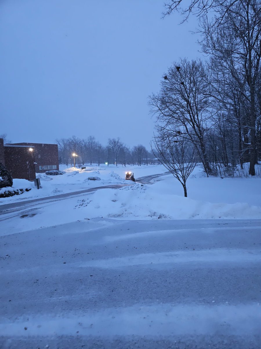 Cornwall CSD tweet media