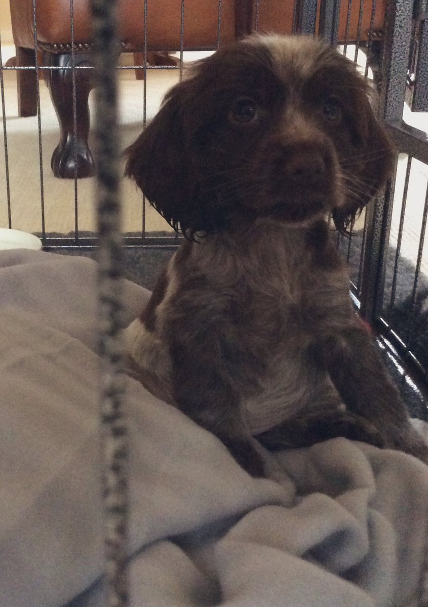 RosieandJane tweet media