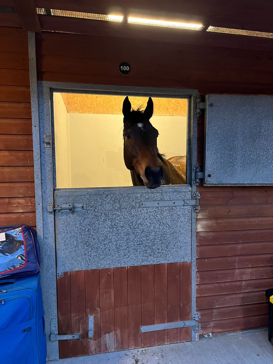 S.Pearce Racing tweet media