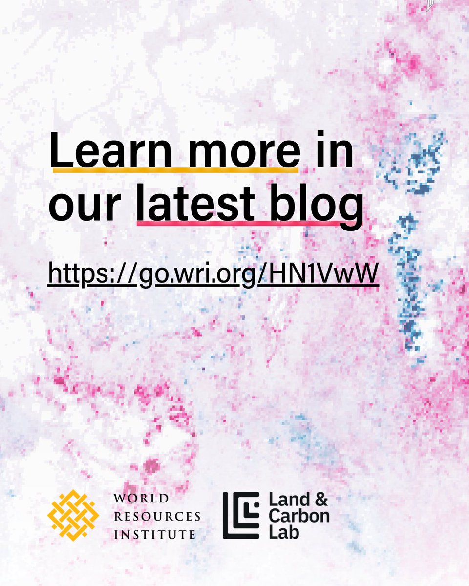 Land & Carbon Lab tweet media