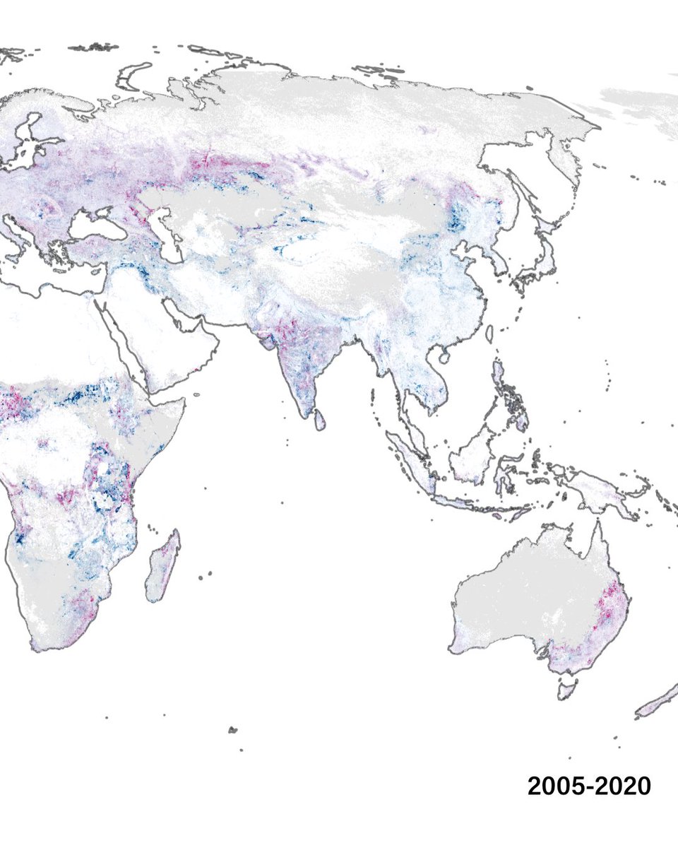 Land & Carbon Lab tweet media