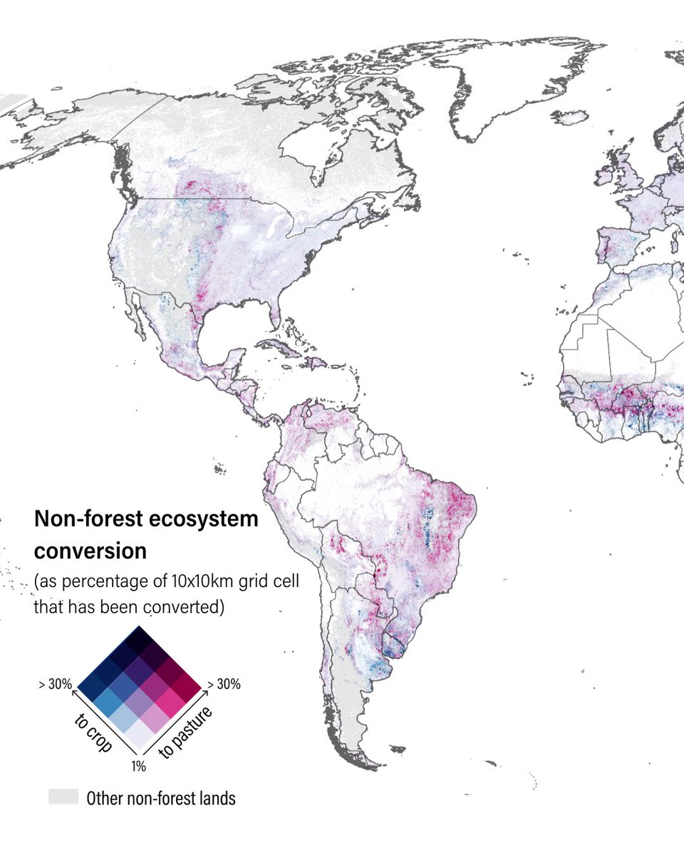 Land & Carbon Lab tweet media