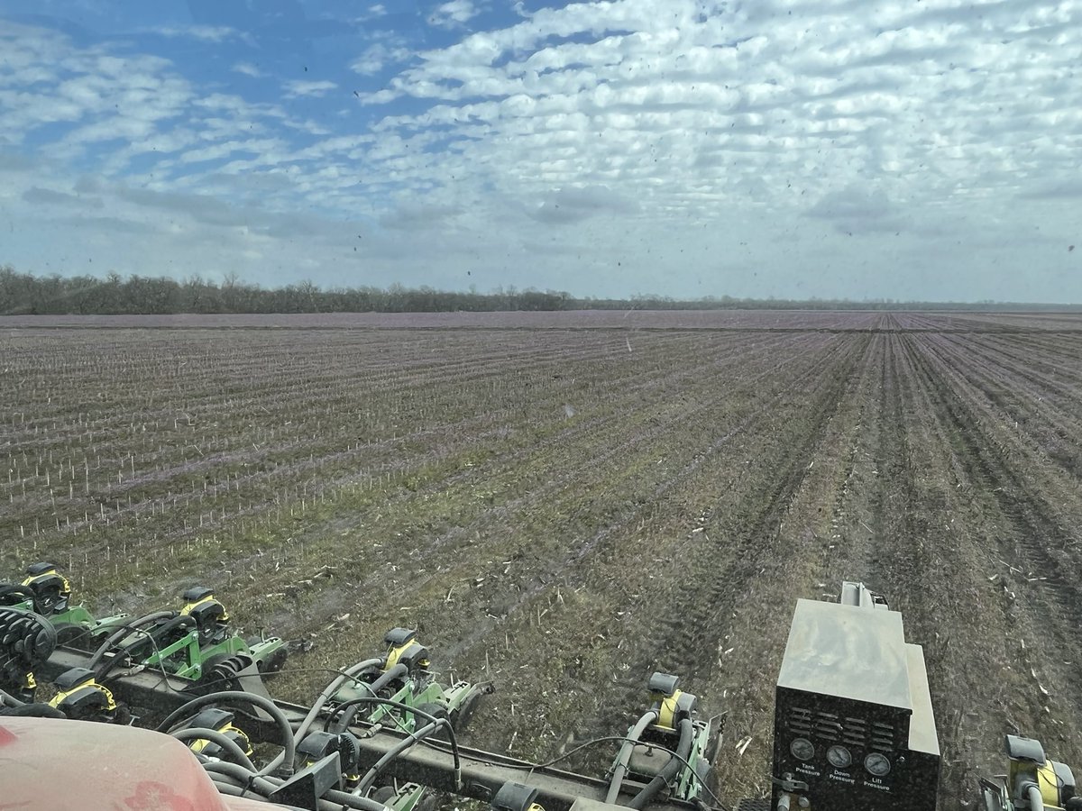 Ale Frick tweet media