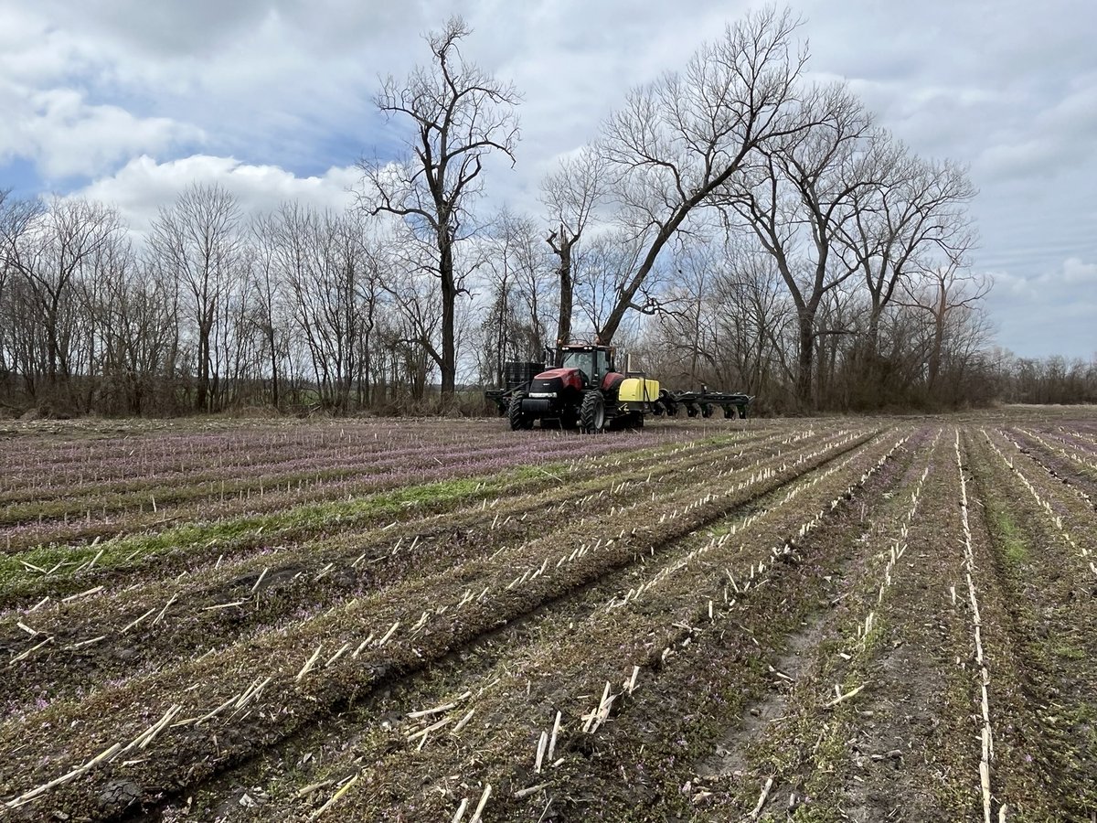 Ale Frick tweet media