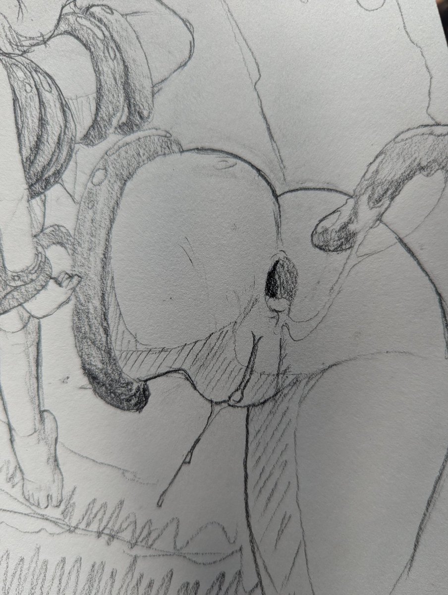 DeBeL 🔞 tweet media