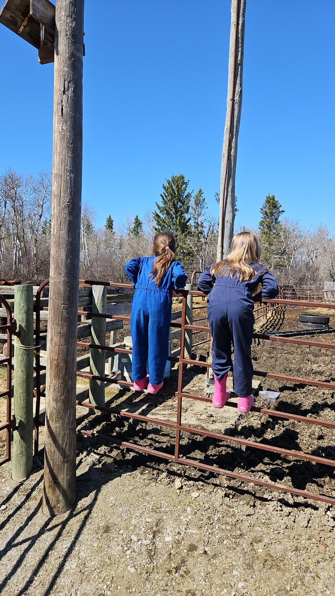 Owen Orsak tweet media