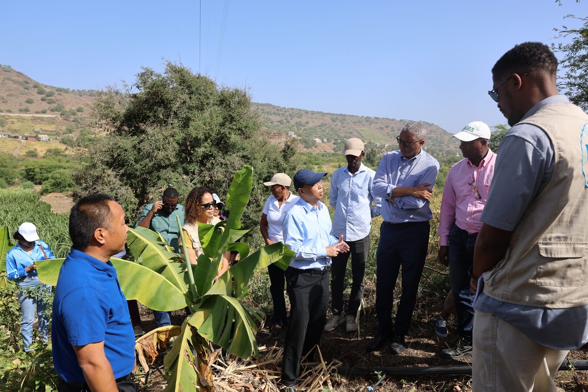 FAOCaboVerde's tweet photo. @FAO, Ministry of Agriculture & Environment & the Chinese Embassy toured #SouthSouthCooperation sites to see the tangible results of our partnership.
From tech transfer to food security, we are strengthening local capacities for a sustainable future. πΎπ±
π π¨π³
#SSTC #4Betters https://t.co/bOo6YuF2bd