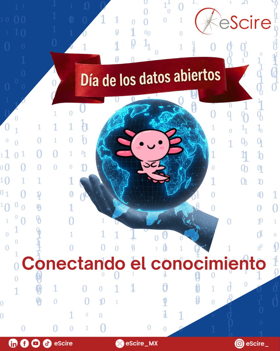 eScire Consultoría tweet media
