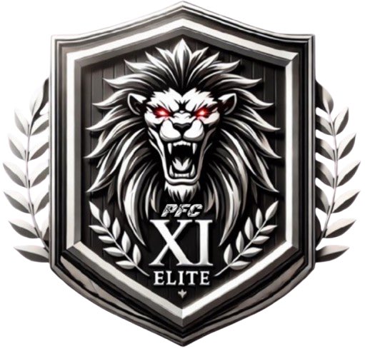 PFC Teams E-Sport tweet media