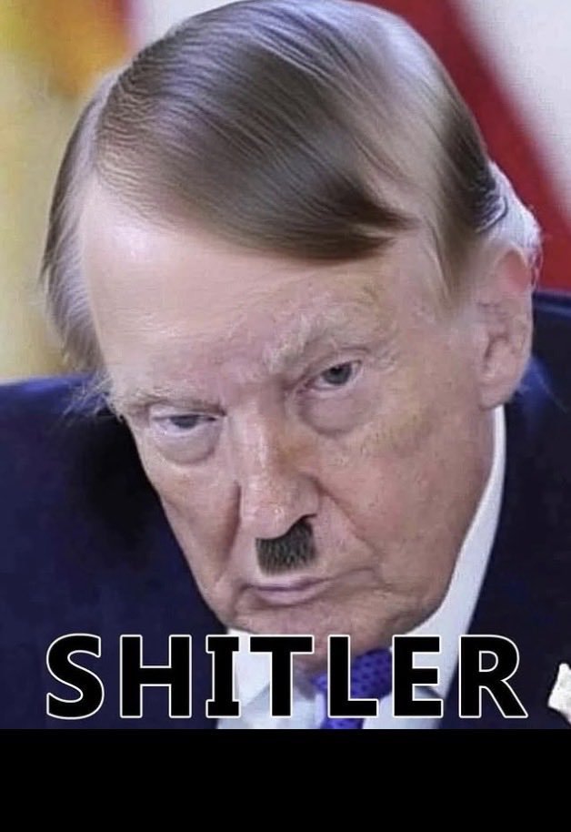 "SHITLER": When you're like Hitler, but you wear Depends! 💩
