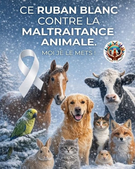 🇨🇵🇨🇵09Copain🇨🇵🇨🇵 tweet media