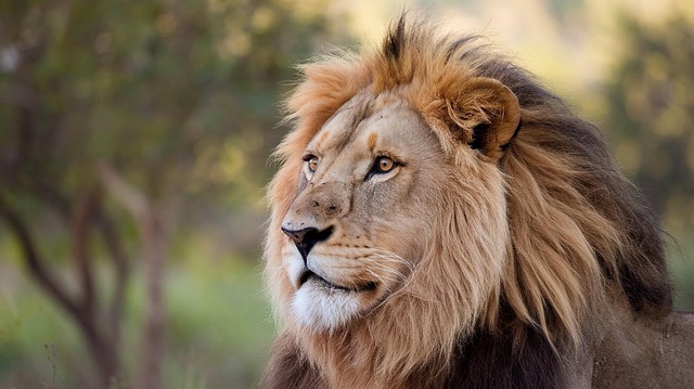 Tom Childress tweet media