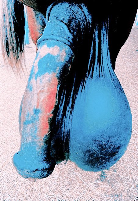 𝑳 𝒂 𝒉 𝒂 𝒃 𝒓 𝒆 𝒂 tweet media